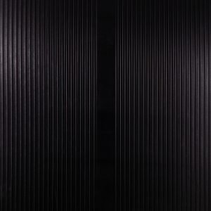 Home absolute black